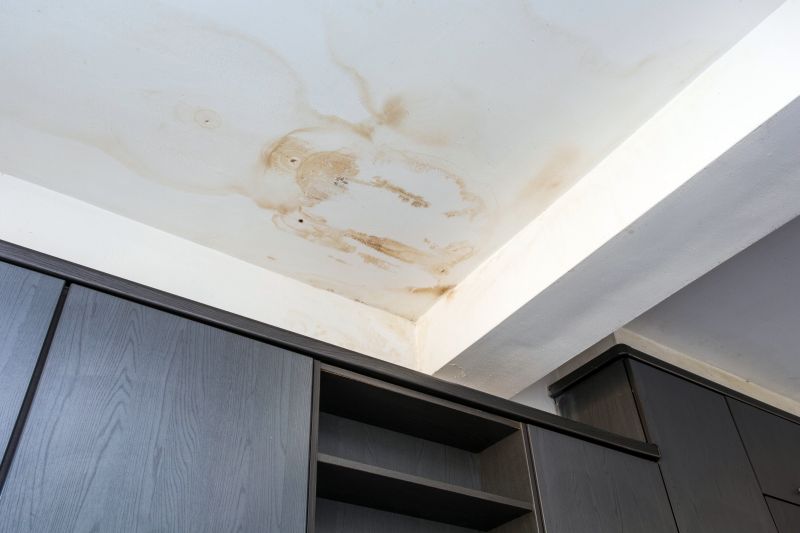 Attic Water Damage Repair in Santa Rosa, CA