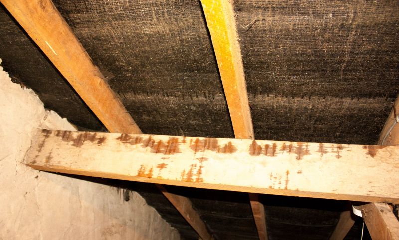 Leaking Ceiling Repair in Denver County, CO